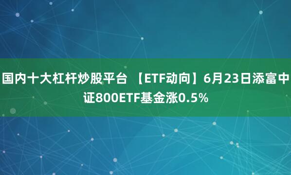 国内十大杠杆炒股平台 【ETF动向】6月23日添富中证800ETF基金涨0.5%