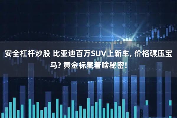 安全杠杆炒股 比亚迪百万SUV上新车, 价格碾压宝马? 黄金标藏着啥秘密!