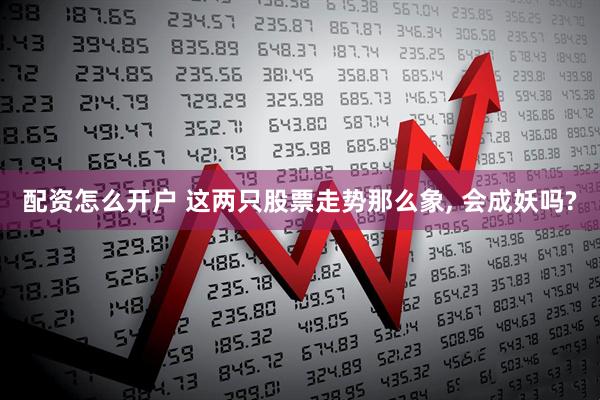 配资怎么开户 这两只股票走势那么象, 会成妖吗?