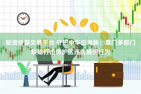 配资炒股交易平台 守护中华白海豚：厦门多部门联动打击保护区违法捕捞行为